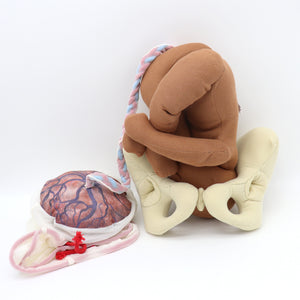 Cloth Pelvis/Newborn Baby Doll/Placenta/Knitted Uterus Model Set