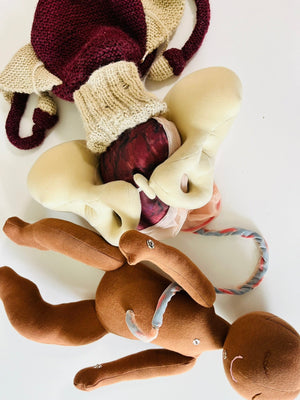 Cloth Pelvis/Newborn Baby Doll/Placenta/Knitted Uterus Model Set